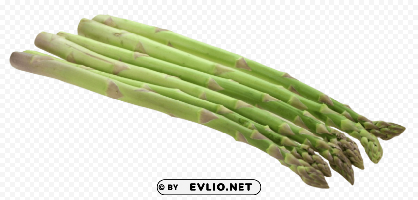asparagus Transparent PNG Object Isolation