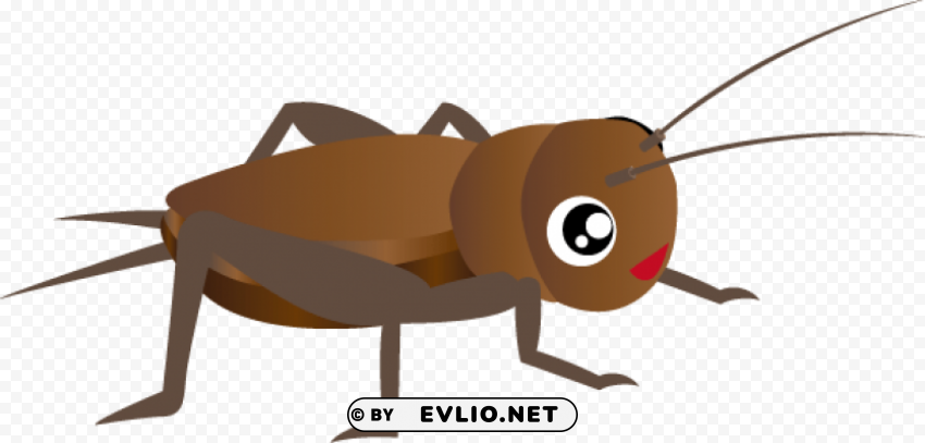 cricket insect clipart PNG Graphic Isolated on Clear Backdrop