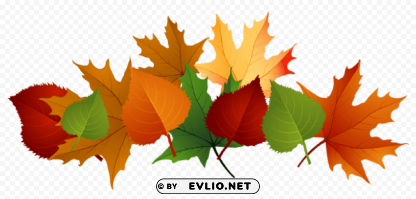 fall leaves PNG images with clear background