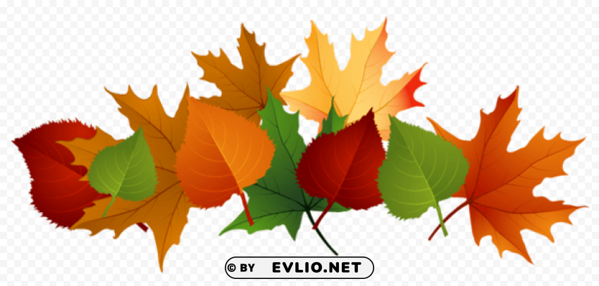 Fall Leaves PNG Images With Clear Background