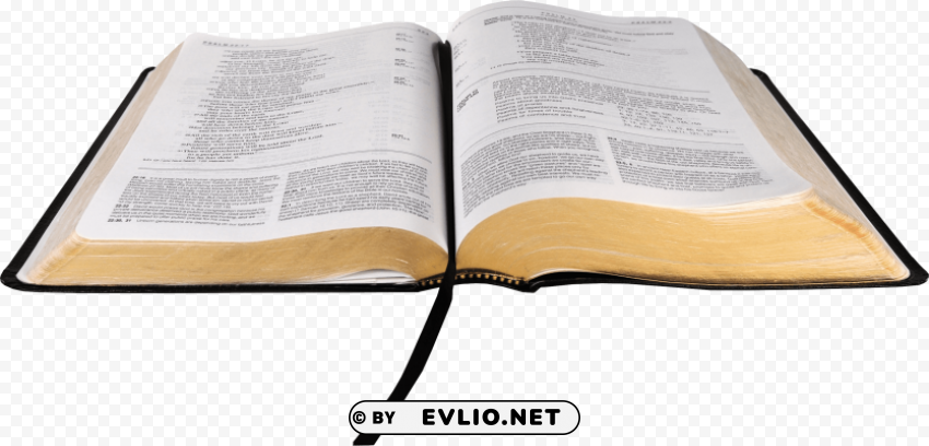 Transparent Background PNG of holy bible Transparent PNG Image Isolation - Image ID 5314242c