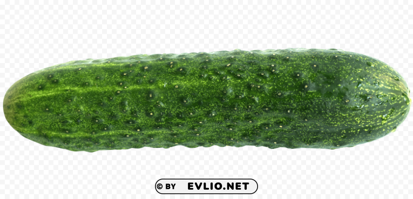 cucumber Clean Background Isolated PNG Icon