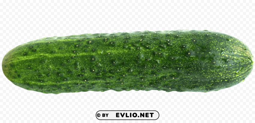 cucumber PNG for digital art