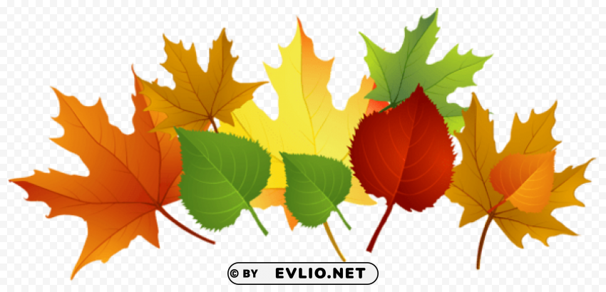 fall leaves PNG images with clear alpha channel