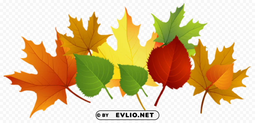 Fall Leaves PNG Images With Clear Alpha Channel