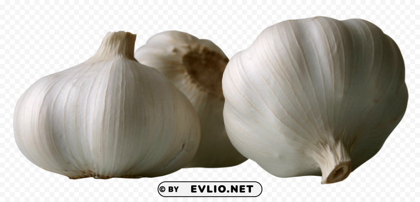garlics PNG Graphic Isolated with Transparency PNG images with transparent backgrounds - Image ID 7786585f