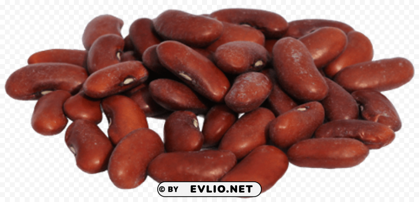 kidney beans Transparent PNG graphics complete collection