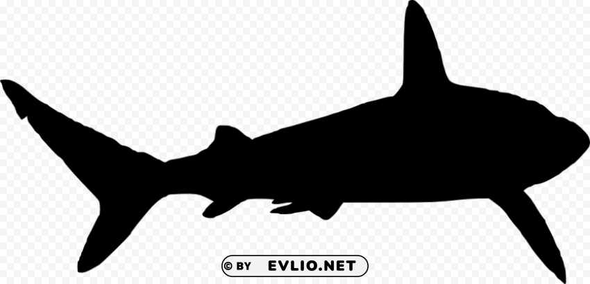 shark silhouette Clear Background PNG with Isolation