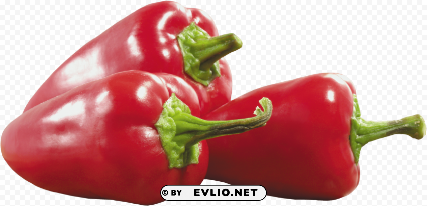 pepper PNG Image Isolated with Clear Transparency