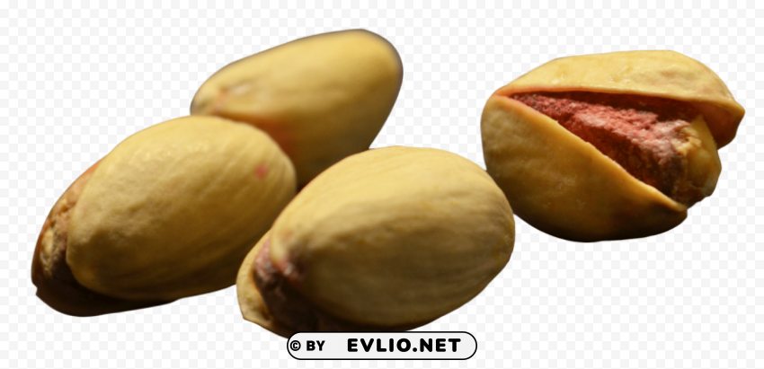 pistachio Isolated Artwork on Clear Transparent PNG