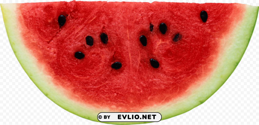 watermelon Isolated Artwork on Transparent PNG