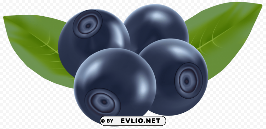 blueberries Isolated Design Element on PNG