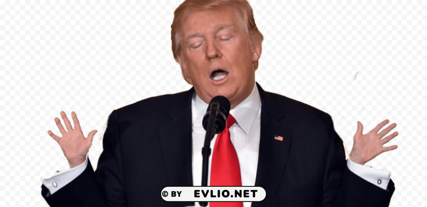 donald trump Isolated Item with HighResolution Transparent PNG