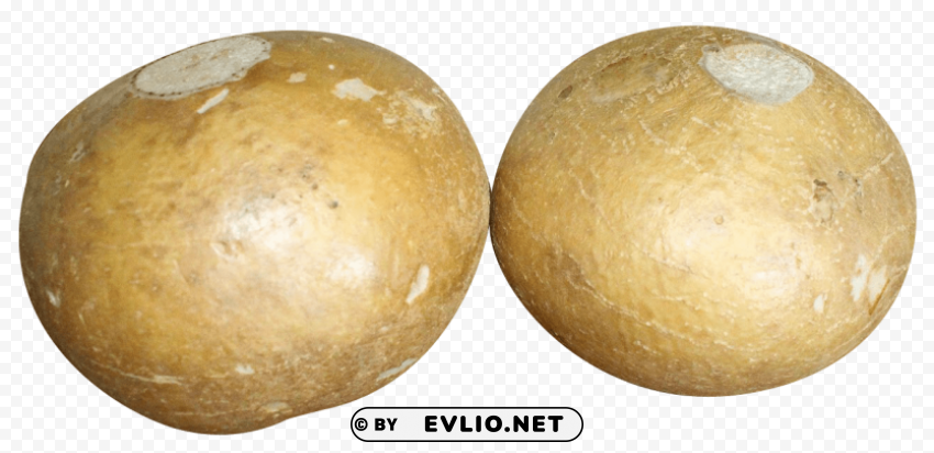 jicama Free download PNG images with alpha channel diversity