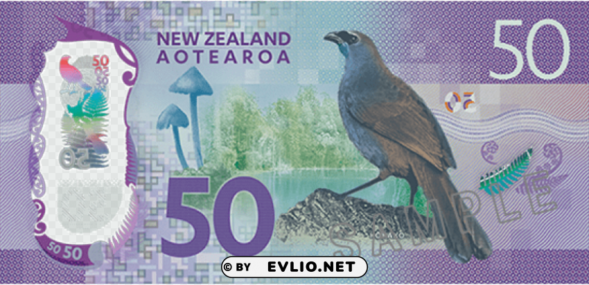 new zealand banknotes ebay 50 PNG with Isolated Object and Transparency