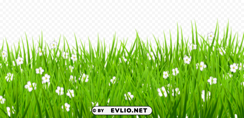  grass with white flowers Isolated Graphic Element in Transparent PNG