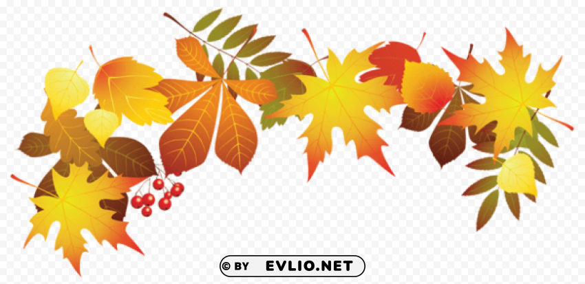 transparent autumn leaves decoration PNG image with no background