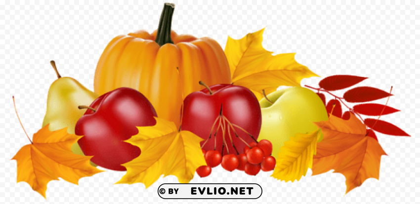 autumn pumpkin and fruits PNG Graphic Isolated on Clear Background
