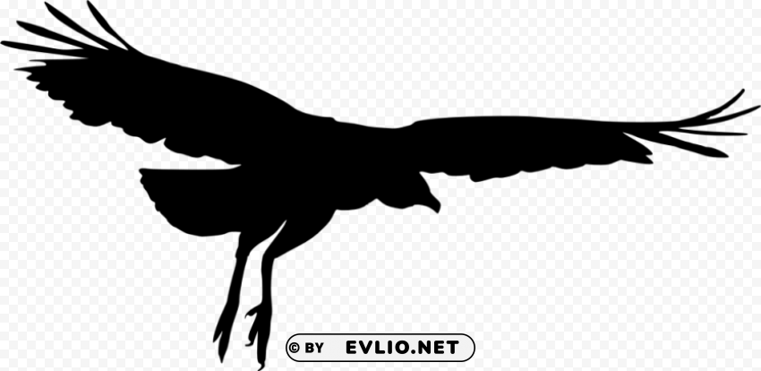 bird silhouette PNG Image Isolated with Clear Transparency