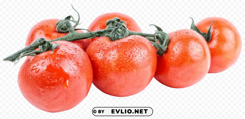 tomato PNG with Transparency and Isolation
