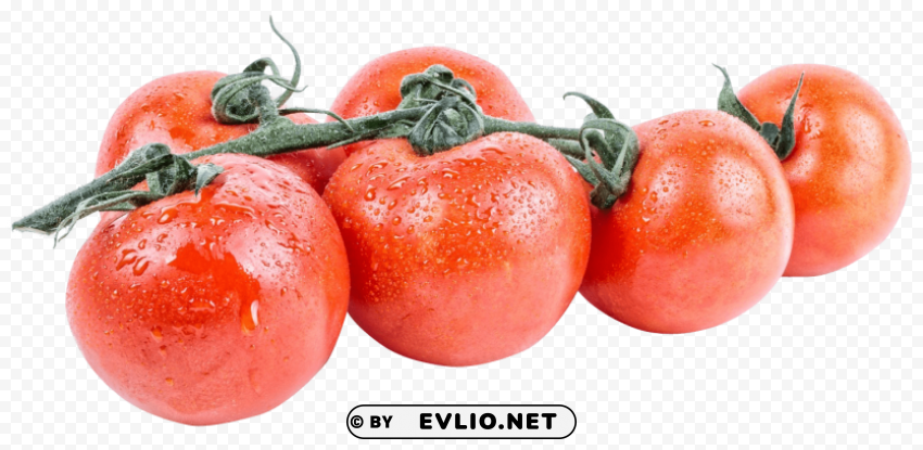 Tomato PNG With Transparency And Isolation