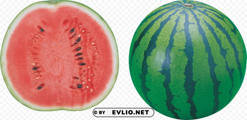 watermelon PNG for business use