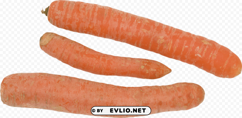 carrot PNG images without watermarks