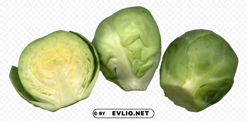 brussels sprouts Isolated PNG on Transparent Background