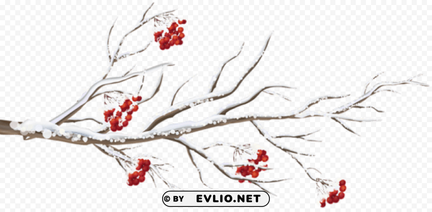 winter branch PNG images with alpha transparency bulk