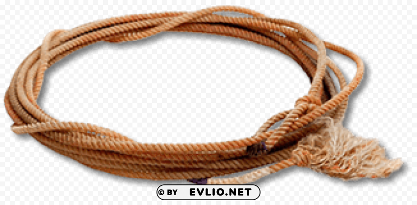 cowboy rope Transparent Background Isolated PNG Icon