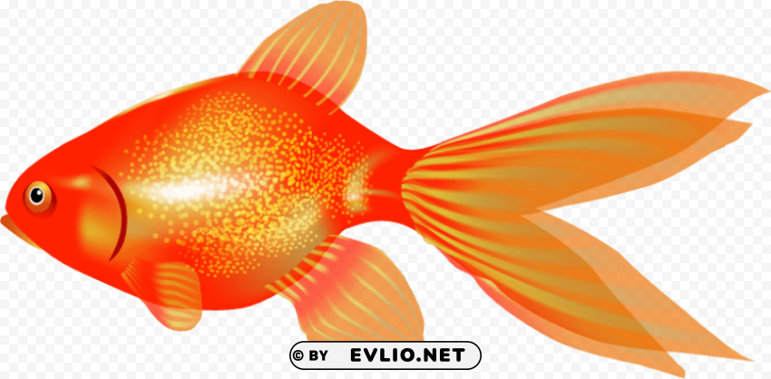 goldfish PNG transparent images mega collection