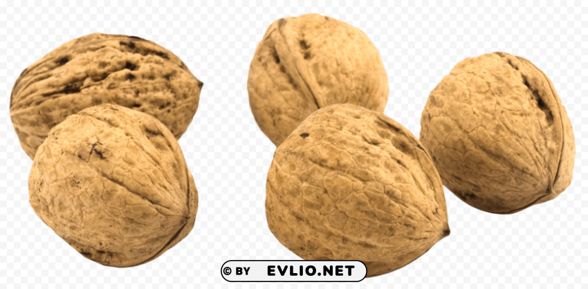 Walnut PNG Graphic Isolated on Transparent Background