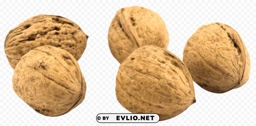 Walnut PNG Graphic Isolated On Transparent Background