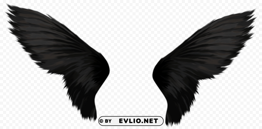 Black Wings PNG transparent photos vast collection