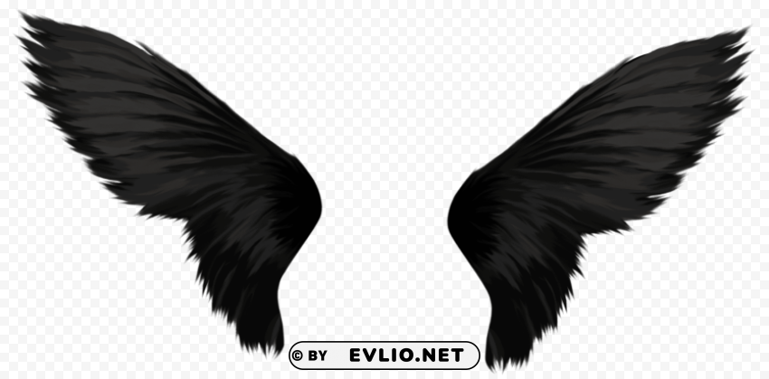 black wings Transparent PNG images for digital art