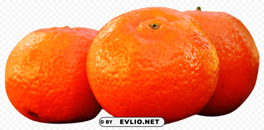 mandarins tangerines PNG images for websites