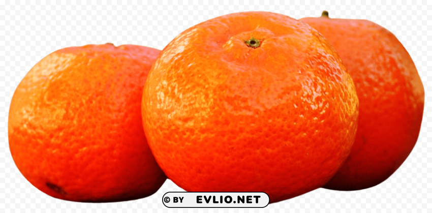 mandarins tangerines PNG images for websites PNG images with transparent backgrounds - Image ID 3f38ff57