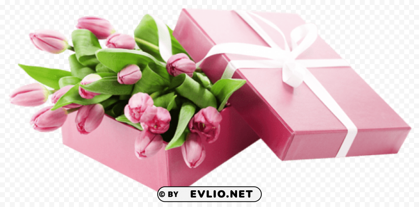 box with pink tulips Transparent PNG images extensive variety