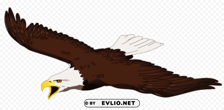 eagle HighQuality Transparent PNG Isolated Object