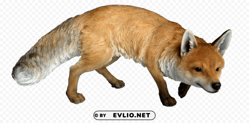 Fox - Transparent Image in High Quality - ID 99b7106c Isolated Design Element in HighQuality PNG