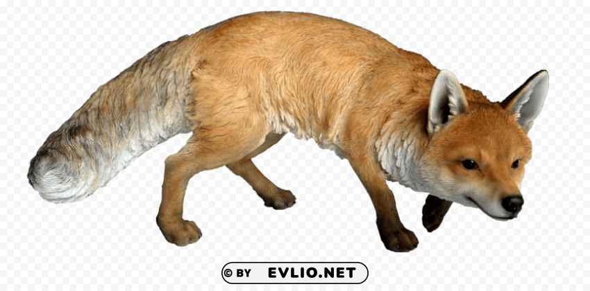 Fox Isolated Graphic Element In Transparent PNG