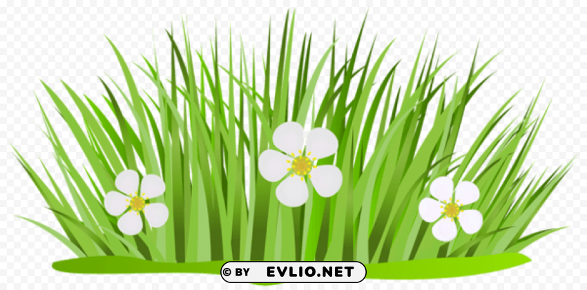grass patch with flowers Isolated PNG Image with Transparent Background