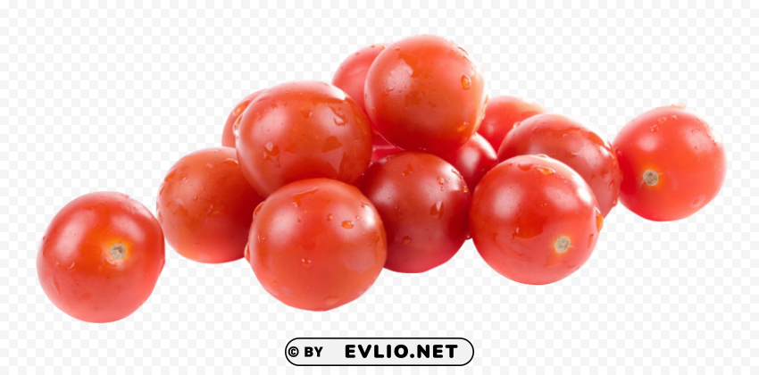tomato Transparent Background PNG Isolated Design