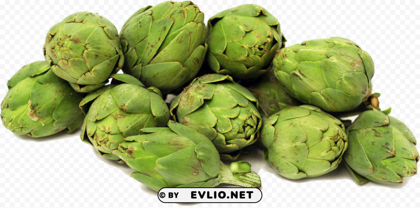 artichokes file PNG images with clear cutout