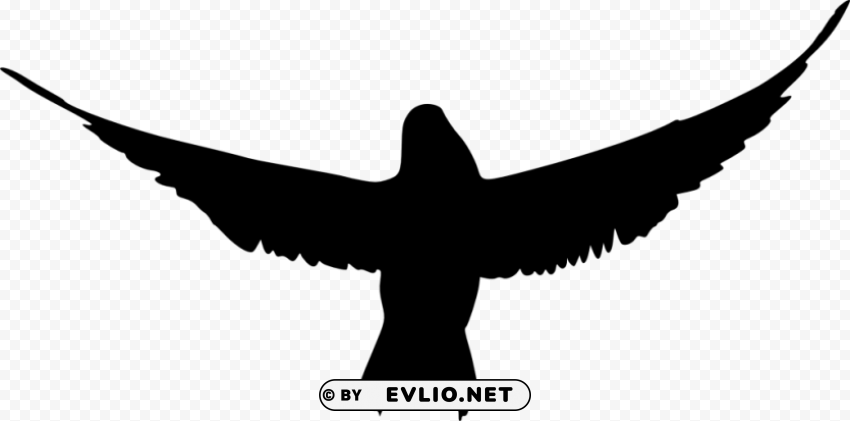bird silhouette PNG graphics with transparent backdrop