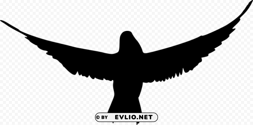 Bird Silhouette PNG Images With No Background Assortment