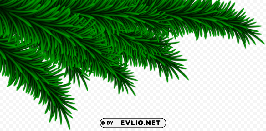 christmas pine branches decorating PNG images for banners