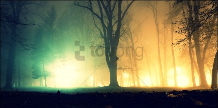 color fog Isolated Subject with Clear PNG Background