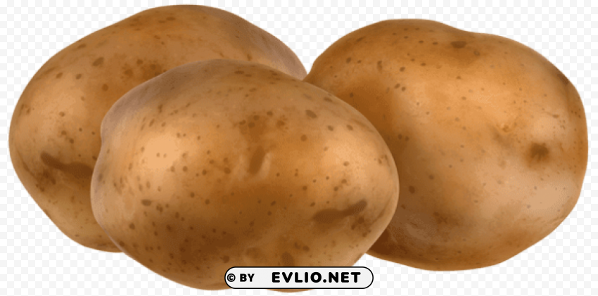 potatoes Isolated Subject in HighQuality Transparent PNG