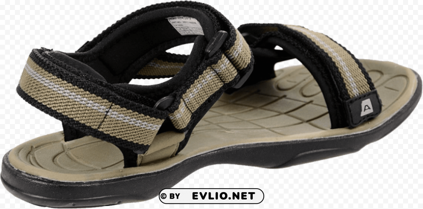 sandal PNG Image Isolated with Transparent Detail